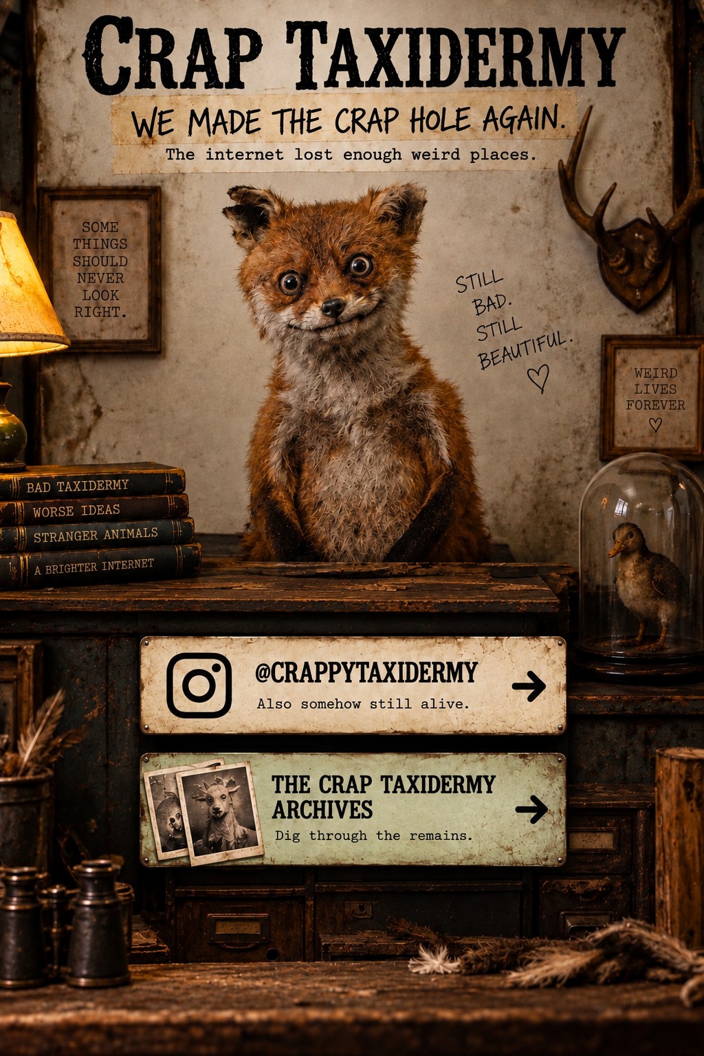 A dusty curiosity-shop display centred on a large, scruffy, badly taxidermied fox, surrounded by old books, framed signs, antlers, a lamp, a glass-domed bird, filing cabinets, feathers, and debris.